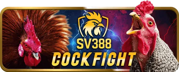 Mẹo chơi Baccarat biz88v1
